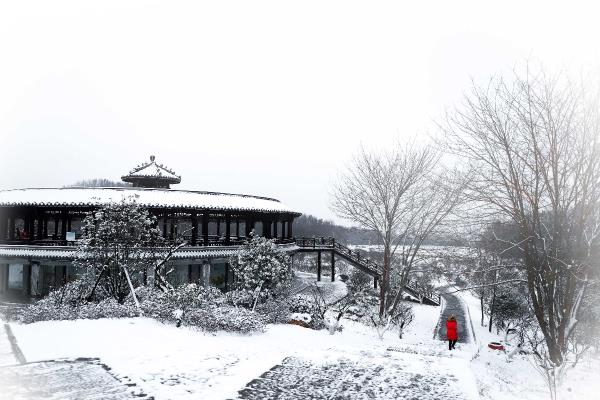 立春后的一場雪