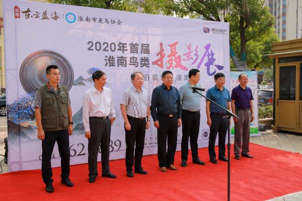 2020年首屆淮南鳥類攝影展隆重開幕