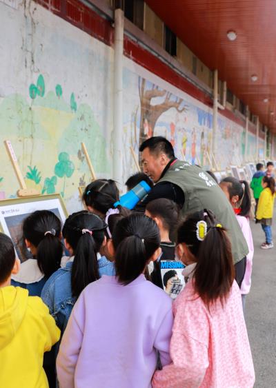 淮南鳥類攝影展走進校園