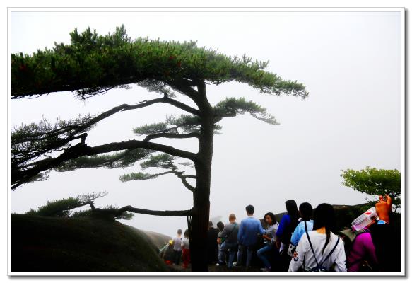 大美黃山