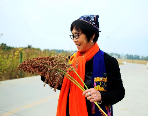 喜見紅高粱