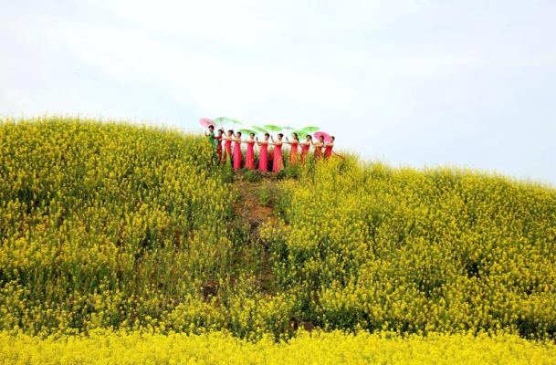 舞動(dòng)花海……