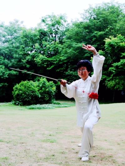 楊氏太極劍（拳）