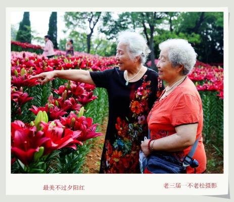 最美不過夕陽紅……共享晚年幸福生活。