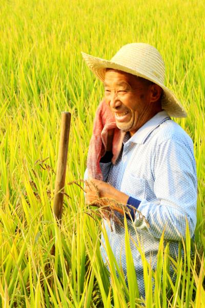 喜迎祖國70華誕，慶又一豐收年。