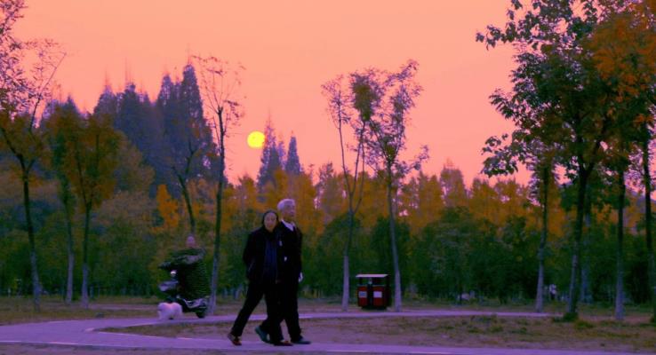 漫步夕陽……