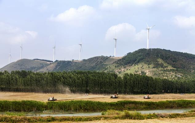 八公山下農活忙