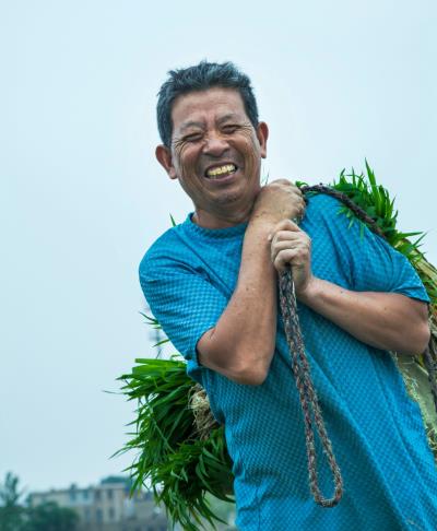 夏忙季節