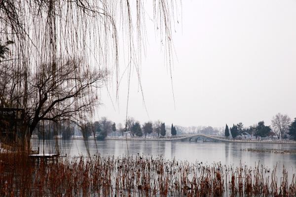 龍湖美景【雪中龍湖】