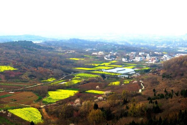 淮南最美賞花處【大美八公山】