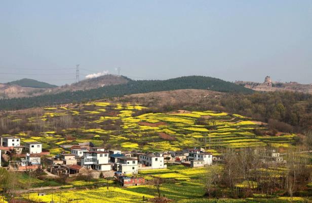 淮南最美賞花處【窯山】