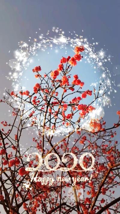 【梅開春歸】梅花盛開的季節(jié)