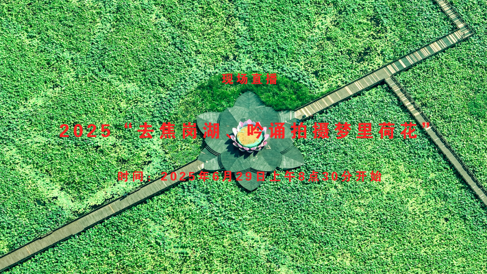 2025“去焦崗湖吟誦拍攝夢(mèng)里荷花”活動(dòng)直播回放
