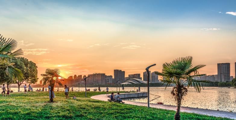 夏日的天鵝湖  優美的風景  讓人賞心悅目  流連忘返