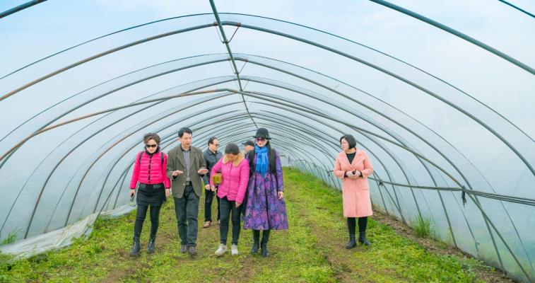 淮南圖片網一行深入史院鄉翠綠產業扶貧基地調研紀實  -2019年3月22日??