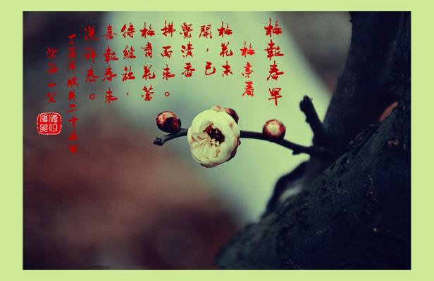 梅報春早