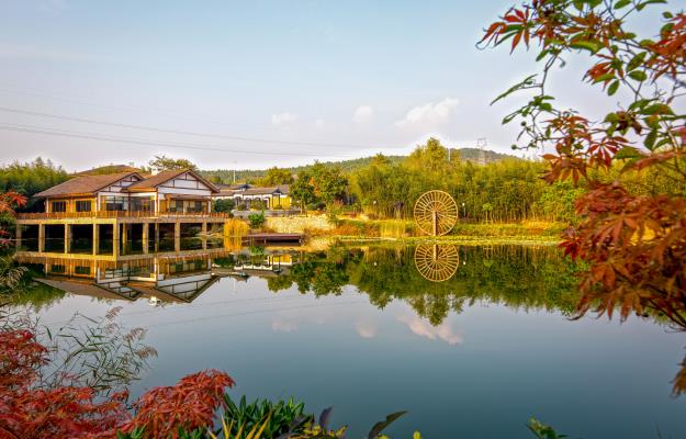 上窯森林公園