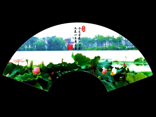 龍湖賞荷