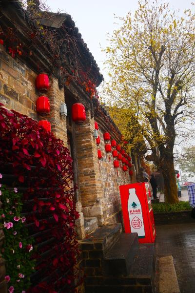 秀麗的潁上明清苑，管仲老街，尤家花園秋景