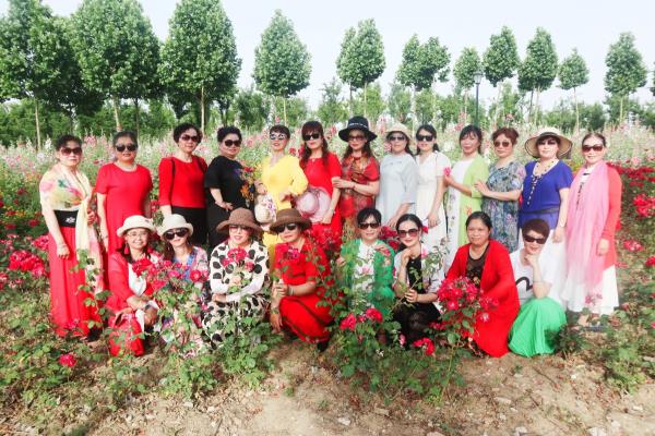 五彩淮南淮河新城公園百花齊放