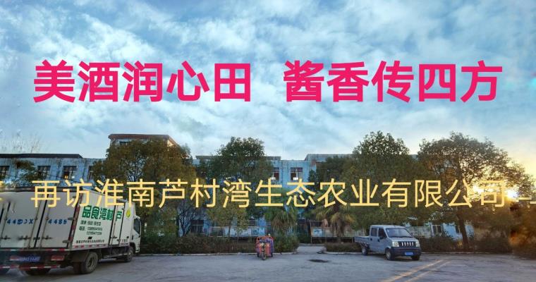 再訪淮南蘆村灣生態農業有限公司