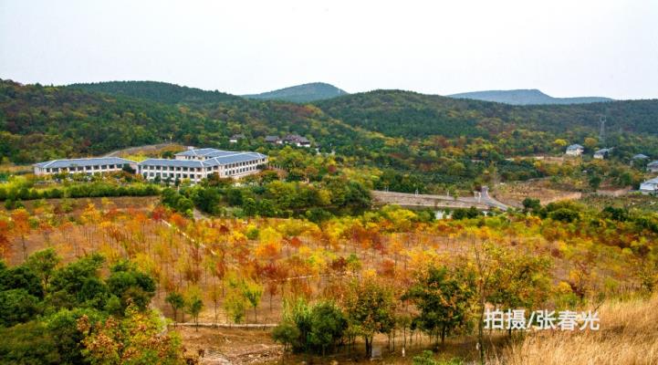 耿小會(huì)/秋游上窯山隨筆/組詩