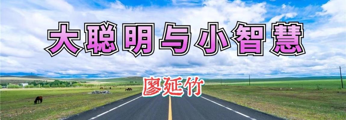 廖延竹/《大聰明與小智慧》