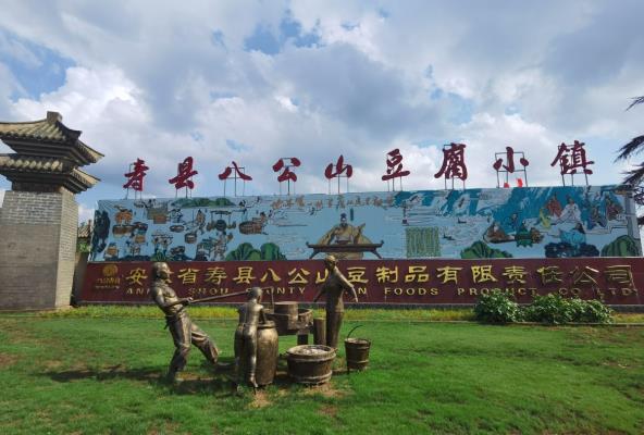 參加“我為淮南寫首詩”頒獎(jiǎng)典禮省外獲獎(jiǎng)詩人及應(yīng)邀嘉賓今日抵淮