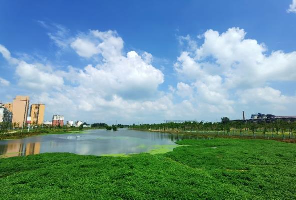 水清岸綠生態美，泥河重現好風光