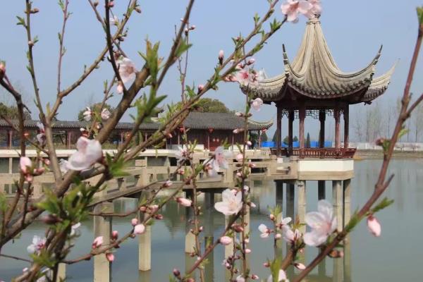 鳳臺縣新集鎮農民公園