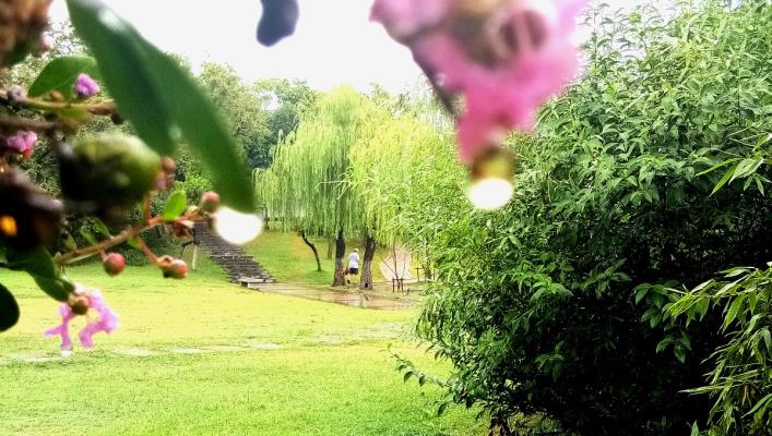 雨天的龍湖公園