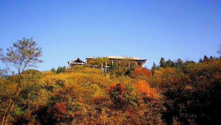 八公山的秋色
