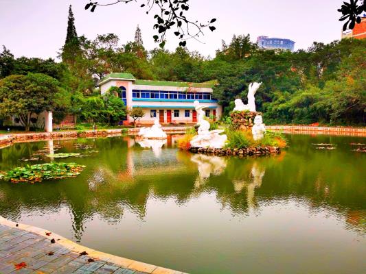 洞山公園 秋意濃濃
