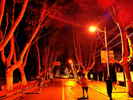 手機記錄生活——走在城市的夜色中