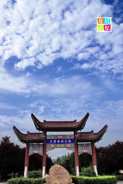 攝影記錄生活——行行攝攝之走進上窯森林公園