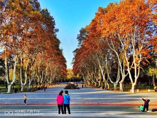 洞山公園的秋色