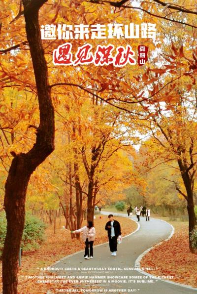 大美淮南之環山路