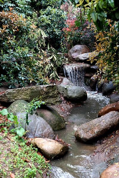 春雨桃花蟄居溪