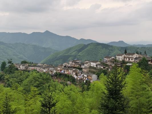 李維煥《  木梨硔》（新韻）