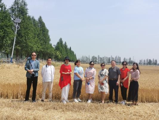 淮南圖片網專欄作家潘集鄉村采風