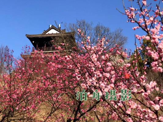 王勝利《長相思?梅園探春》
