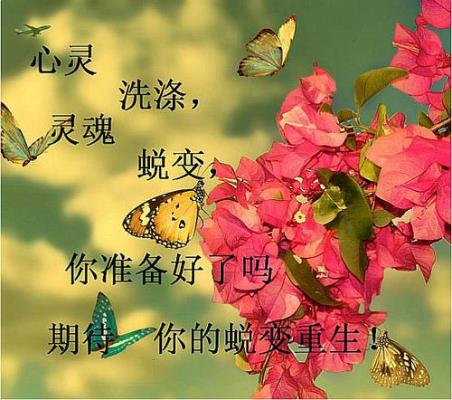 萬緒英《蛻變前后的苦與樂》