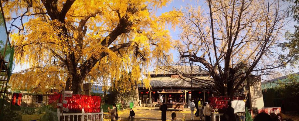 王勝利 | 初冬日壽縣報恩寺訪禪