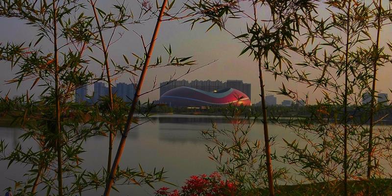 美麗的中央公園
