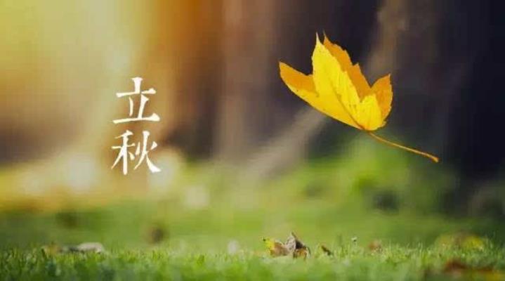 詩友唱和  鷓鴣天 . 立秋抒懷