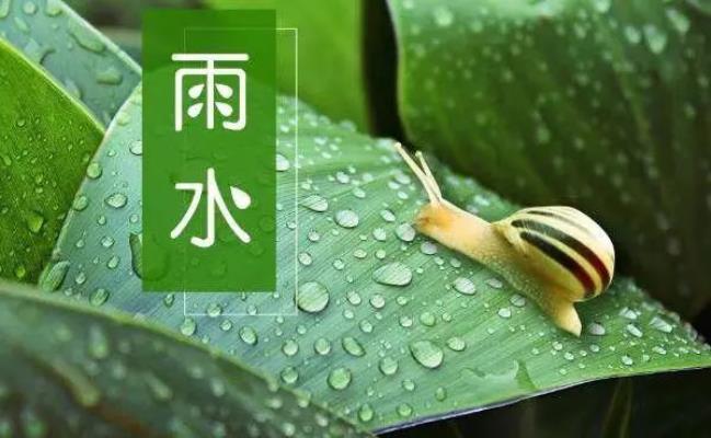 詩友唱和《雨水季節(jié)盼雨水》    2025第七輯