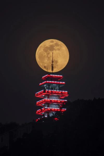 詩友唱和：《樓頂月亮》 2025 第十七輯