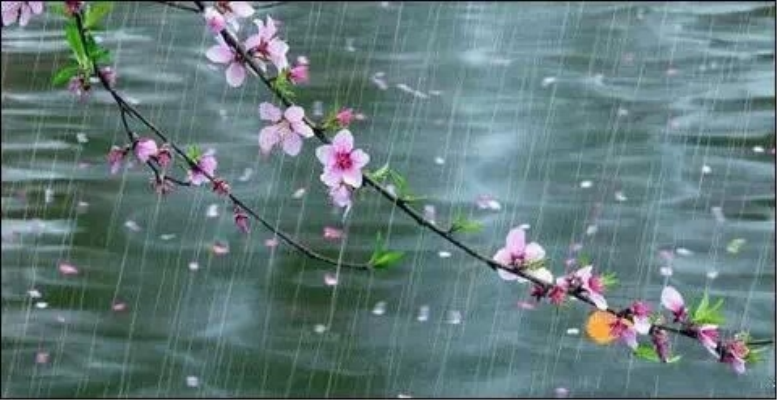 辛丑春風雨中再登賓陽