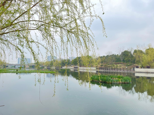 蝶戀花·游春
