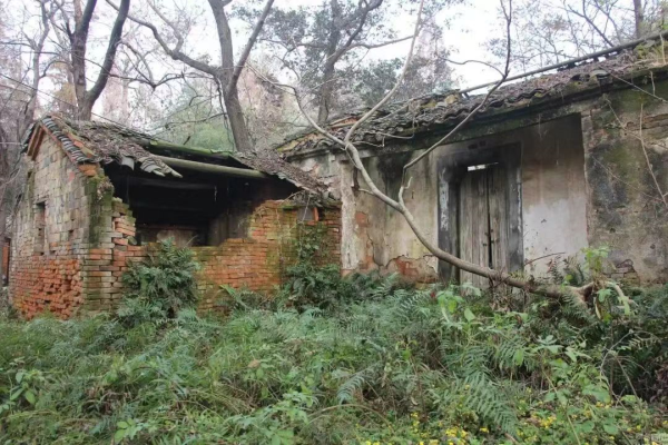 浣溪沙*銹鎖
